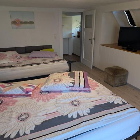 Apartmán Feriendomizil Burgert Naehe Europapark Kippenheim Exteriér fotografie